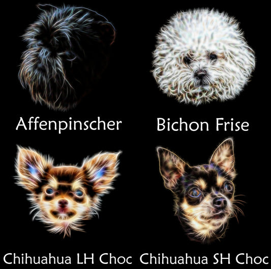 Toy Dog Breed Coaster. Various Breeds including Affenpinscher Chihuahua Coton King Charles Papillon Pug Yorkie and more