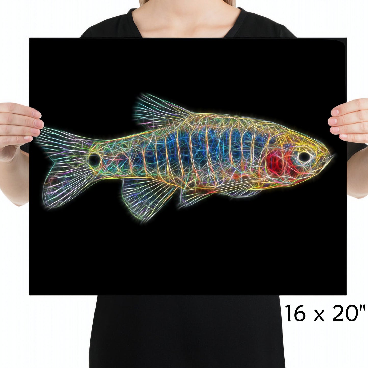 Rasbora Fish Prints with Stunning Fractal Art Designs.