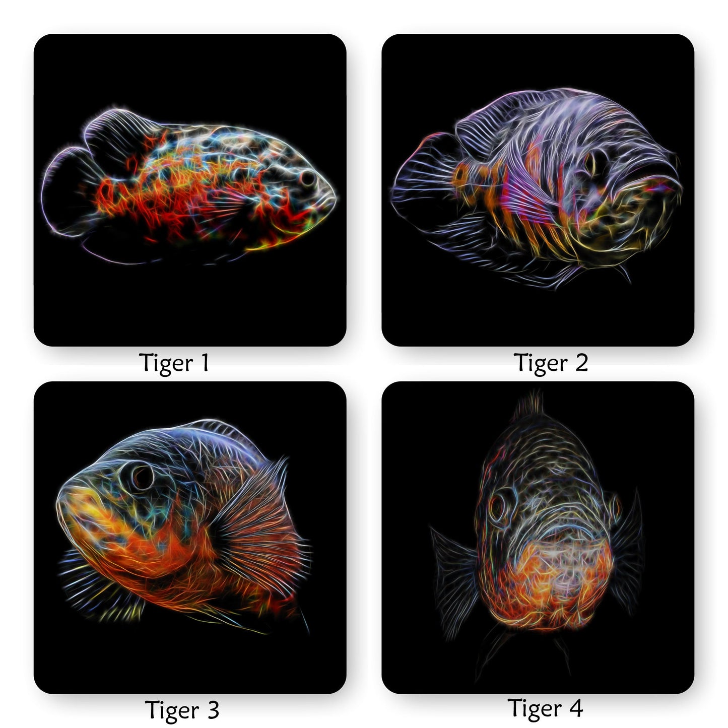 Oscar Cichlid Coaster with Stunning Fractal Art Design. Choose One of 14 Oscar Fish Designs