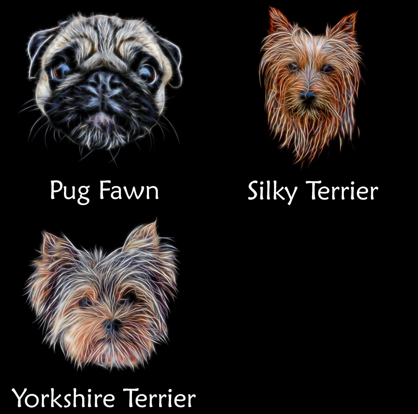 Toy Dog Breed Coaster. Various Breeds including Affenpinscher Chihuahua Coton King Charles Papillon Pug Yorkie and more