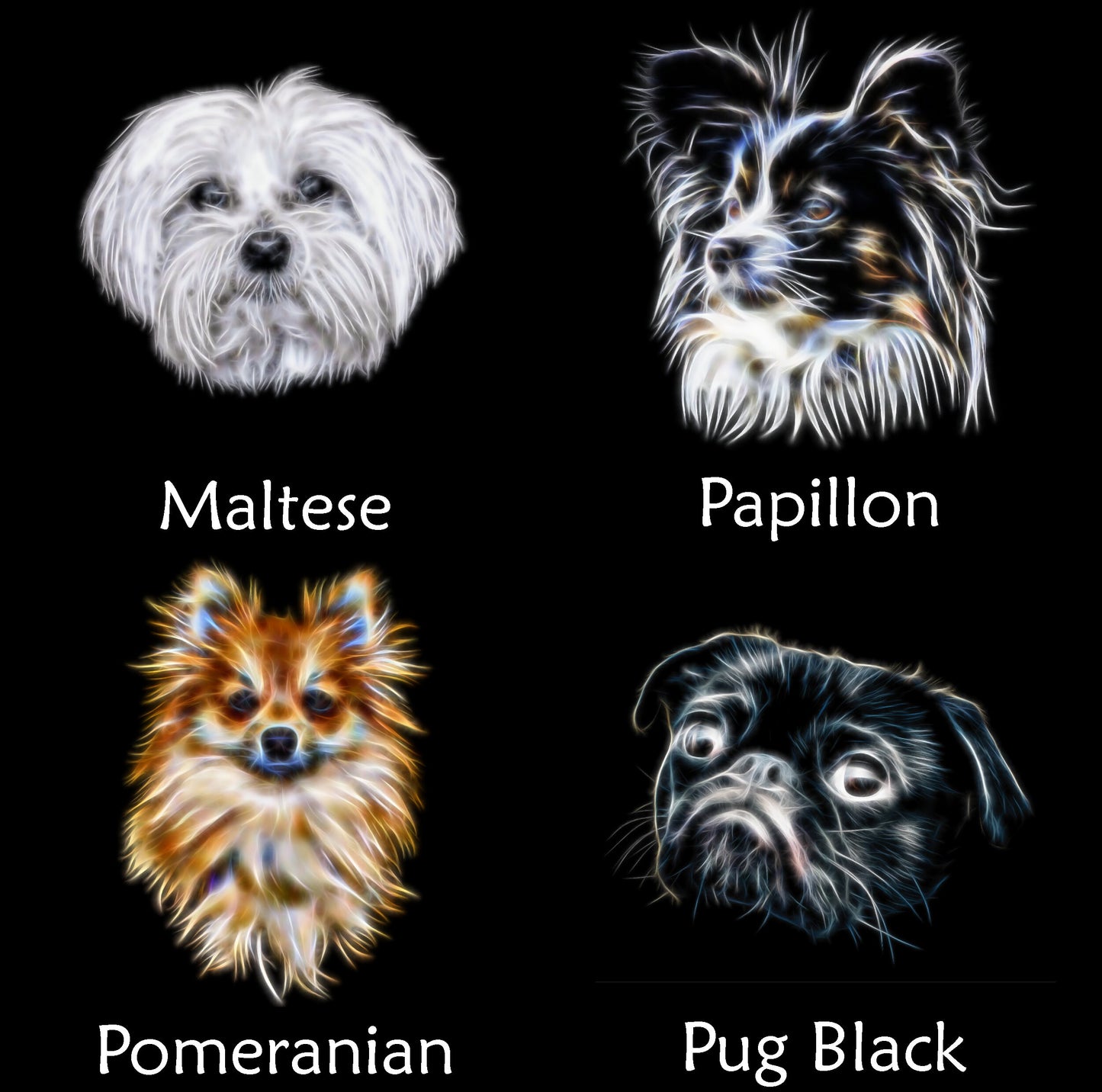 Toy Dog Breed Coaster. Various Breeds including Affenpinscher Chihuahua Coton King Charles Papillon Pug Yorkie and more