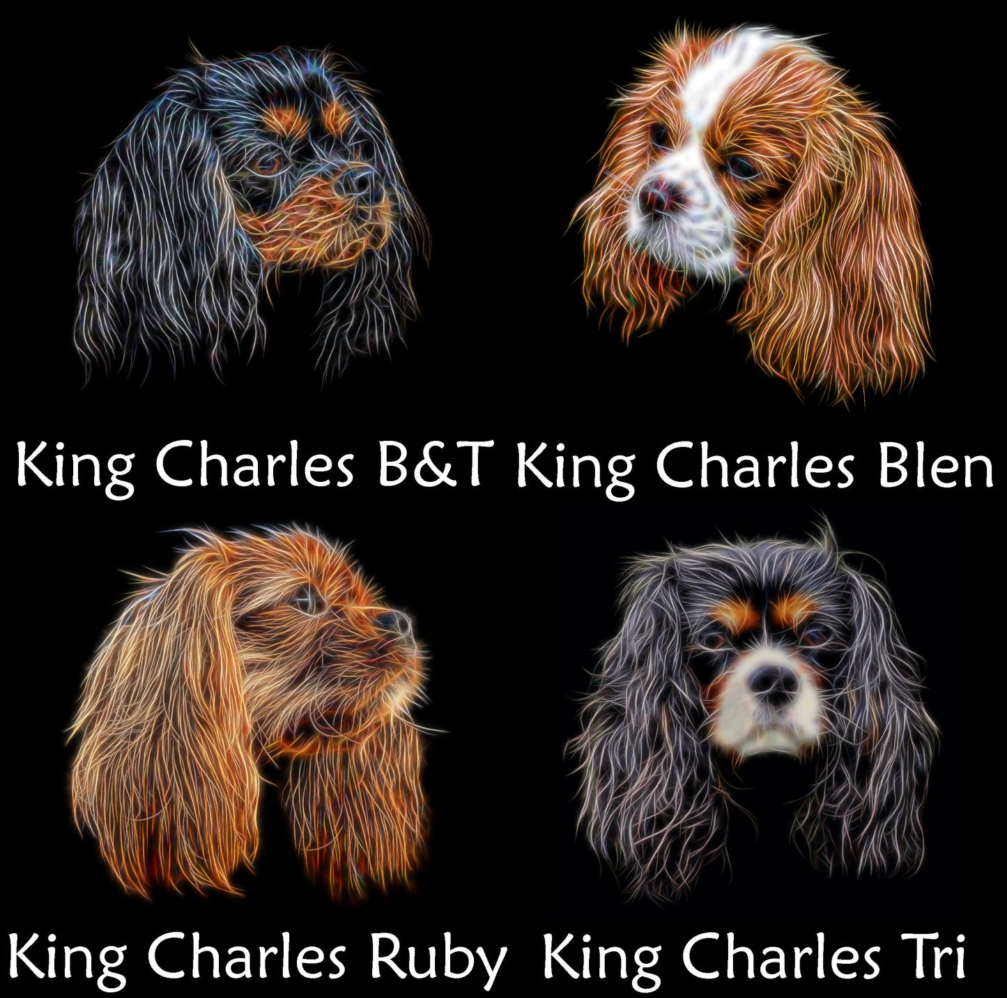 Toy Dog Breed Coaster. Various Breeds including Affenpinscher Chihuahua Coton King Charles Papillon Pug Yorkie and more