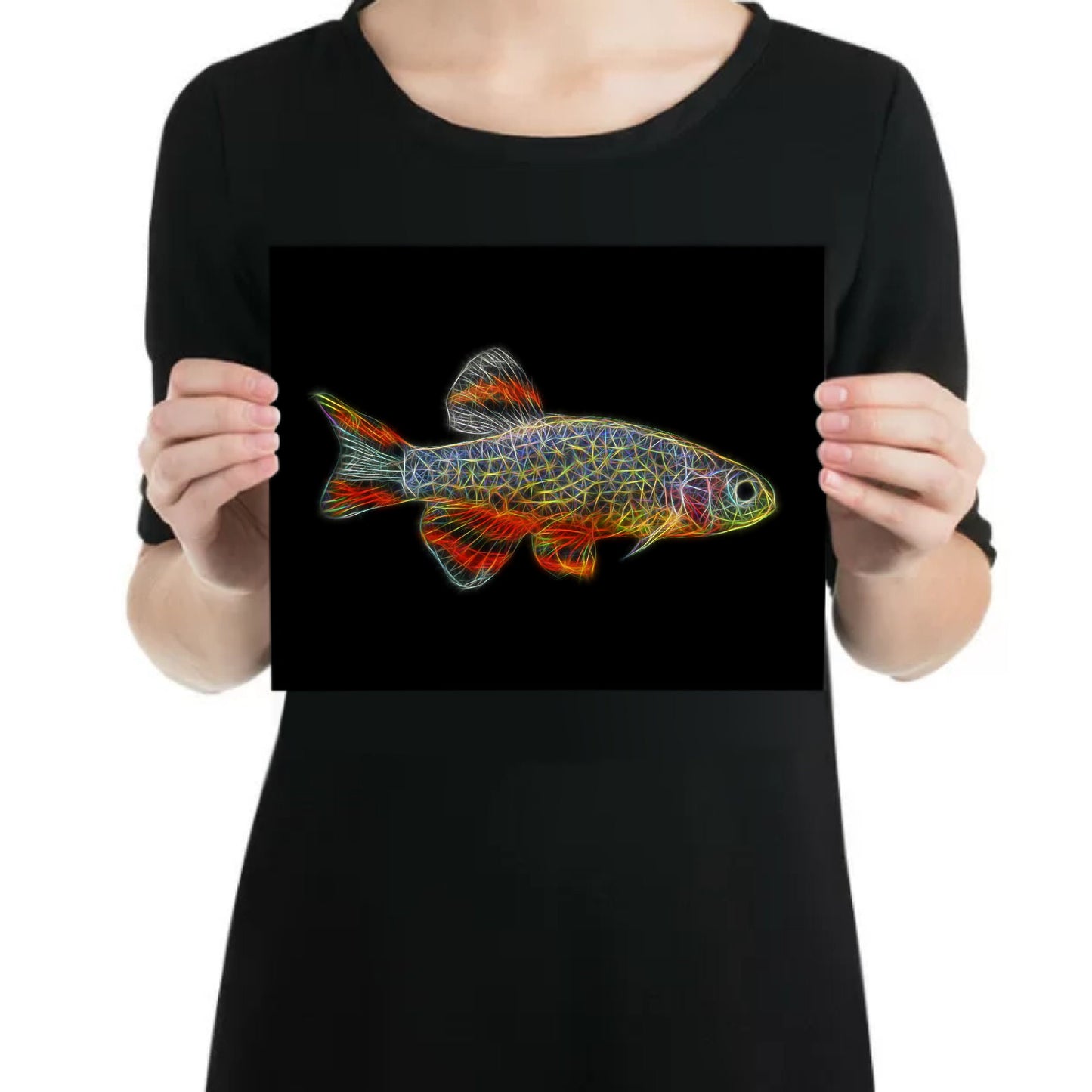 Rasbora Fish Prints with Stunning Fractal Art Designs.
