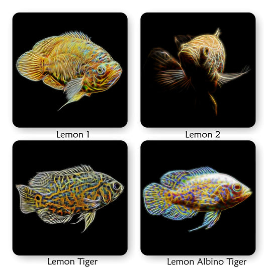 Oscar Cichlid Coaster with Stunning Fractal Art Design. Choose One of 14 Oscar Fish Designs