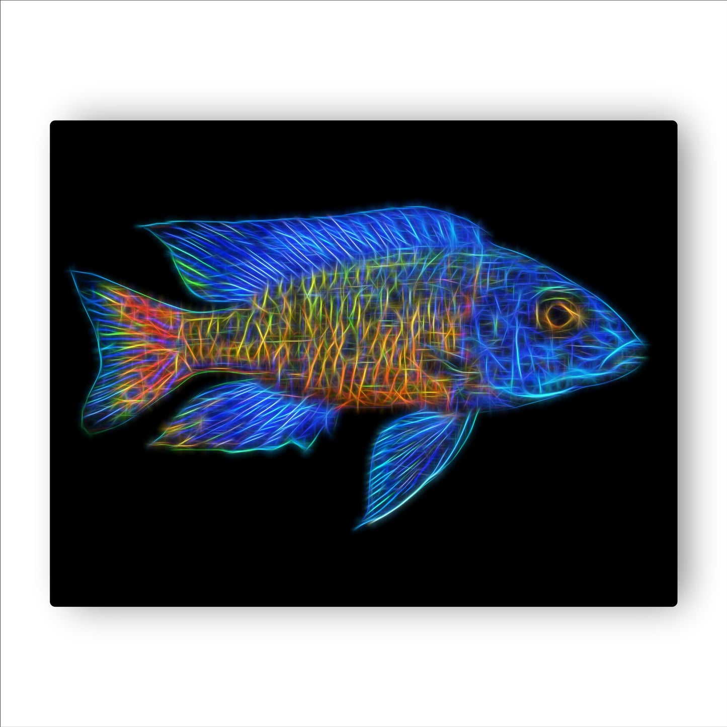 Stuartgranti Ngara Flametail Peacock Cichlid Fish Print with Stunning Fractal Art Design. Aulonocara