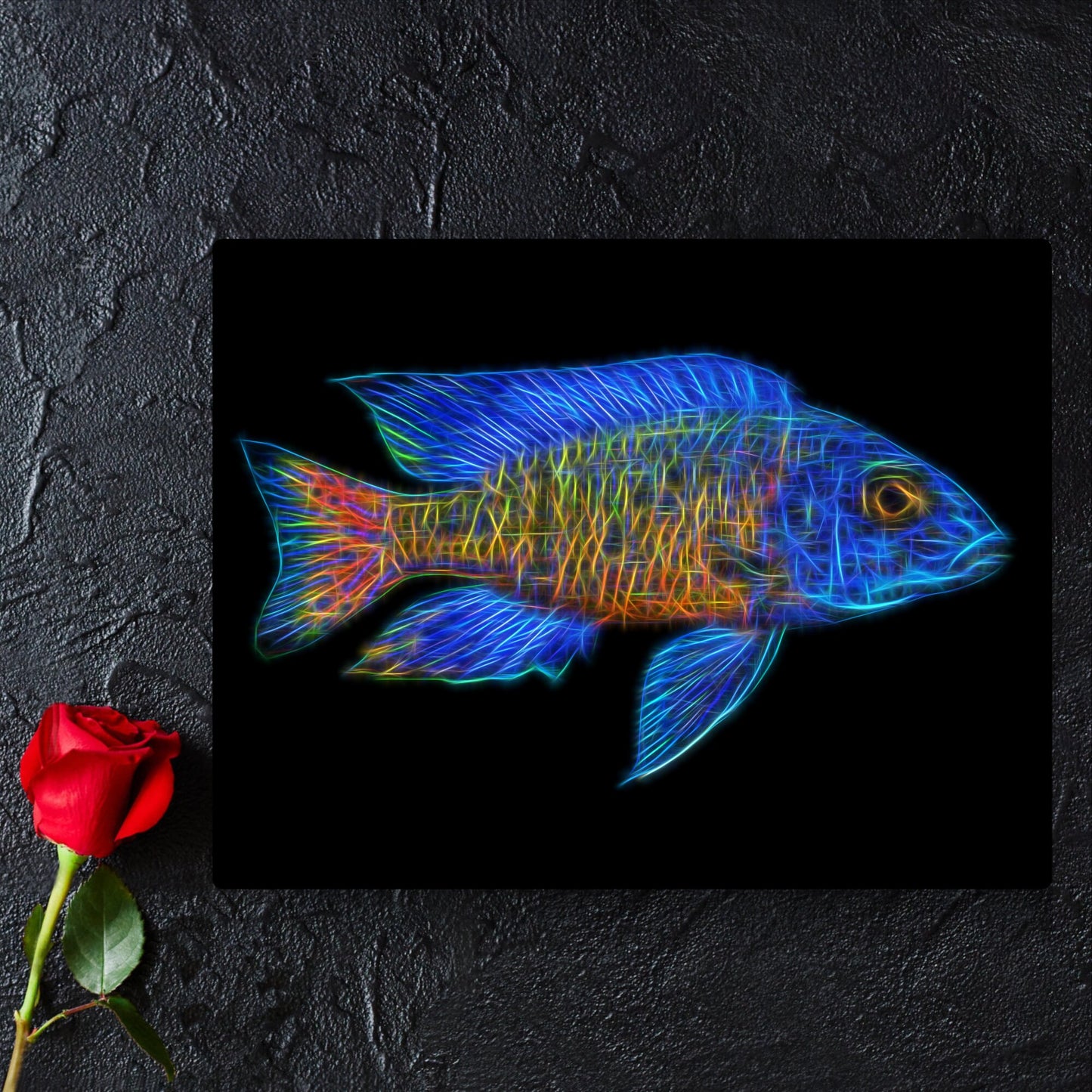 Stuartgranti Ngara Flametail Peacock Cichlid Fish Print with Stunning Fractal Art Design. Aulonocara