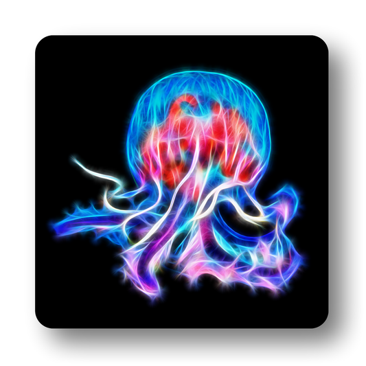 Marine Life Coasters - Various Designs