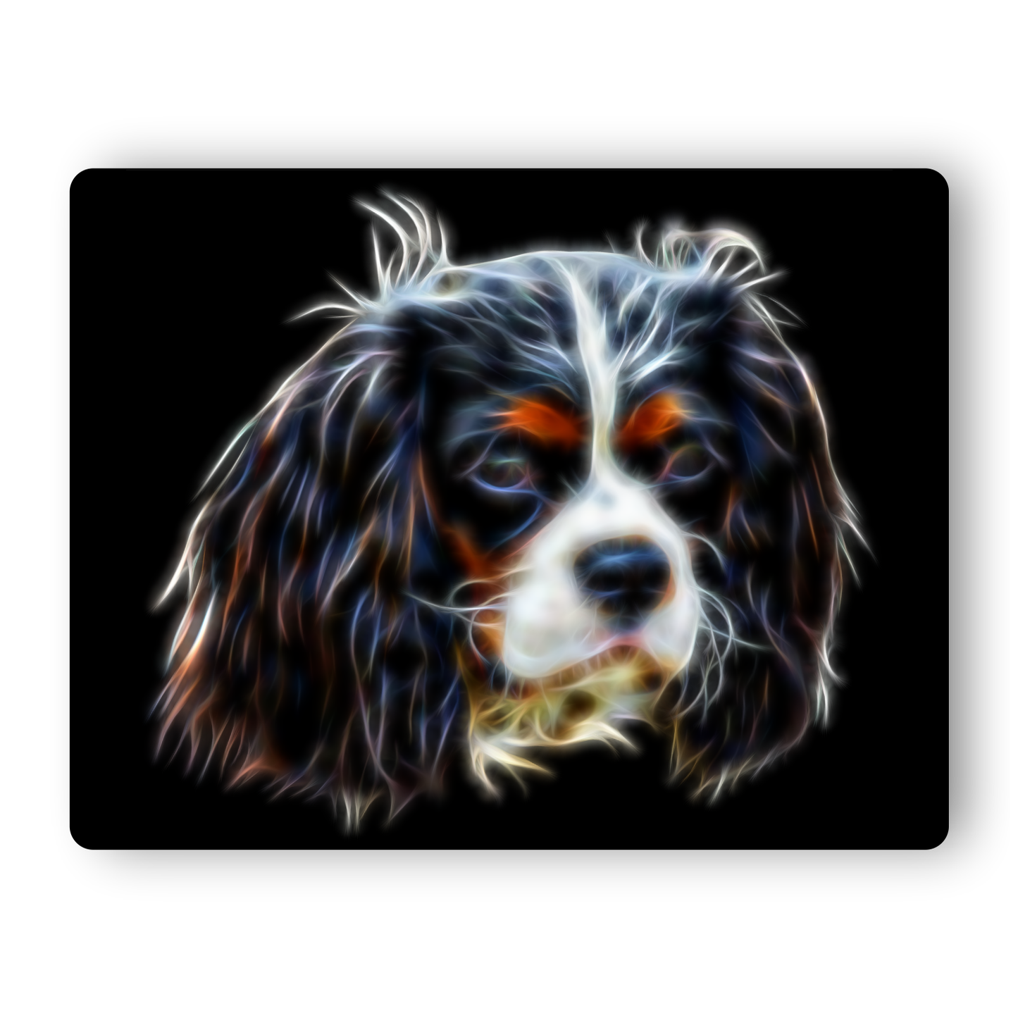 King Charles Spaniel - Tri-coloured King Charles Spaniel Metal Wall Plaque