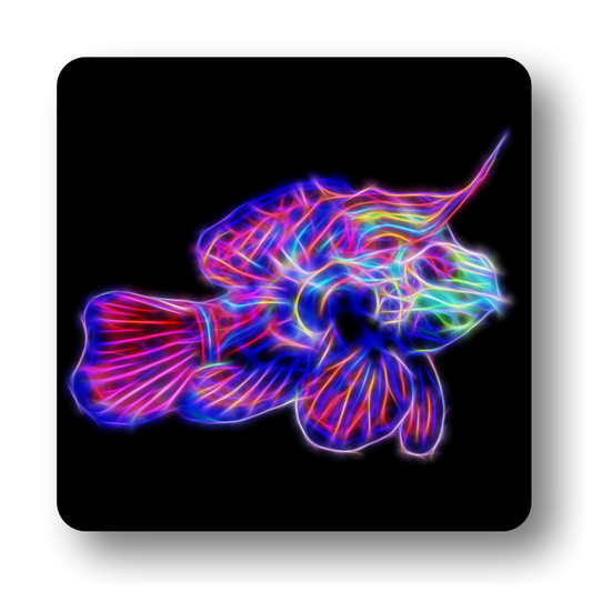 Marine Life Coasters - Various Designs