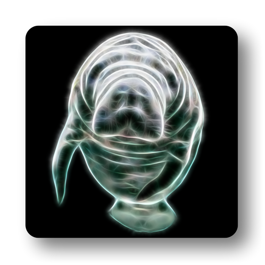 Marine Life Coasters - Various Designs