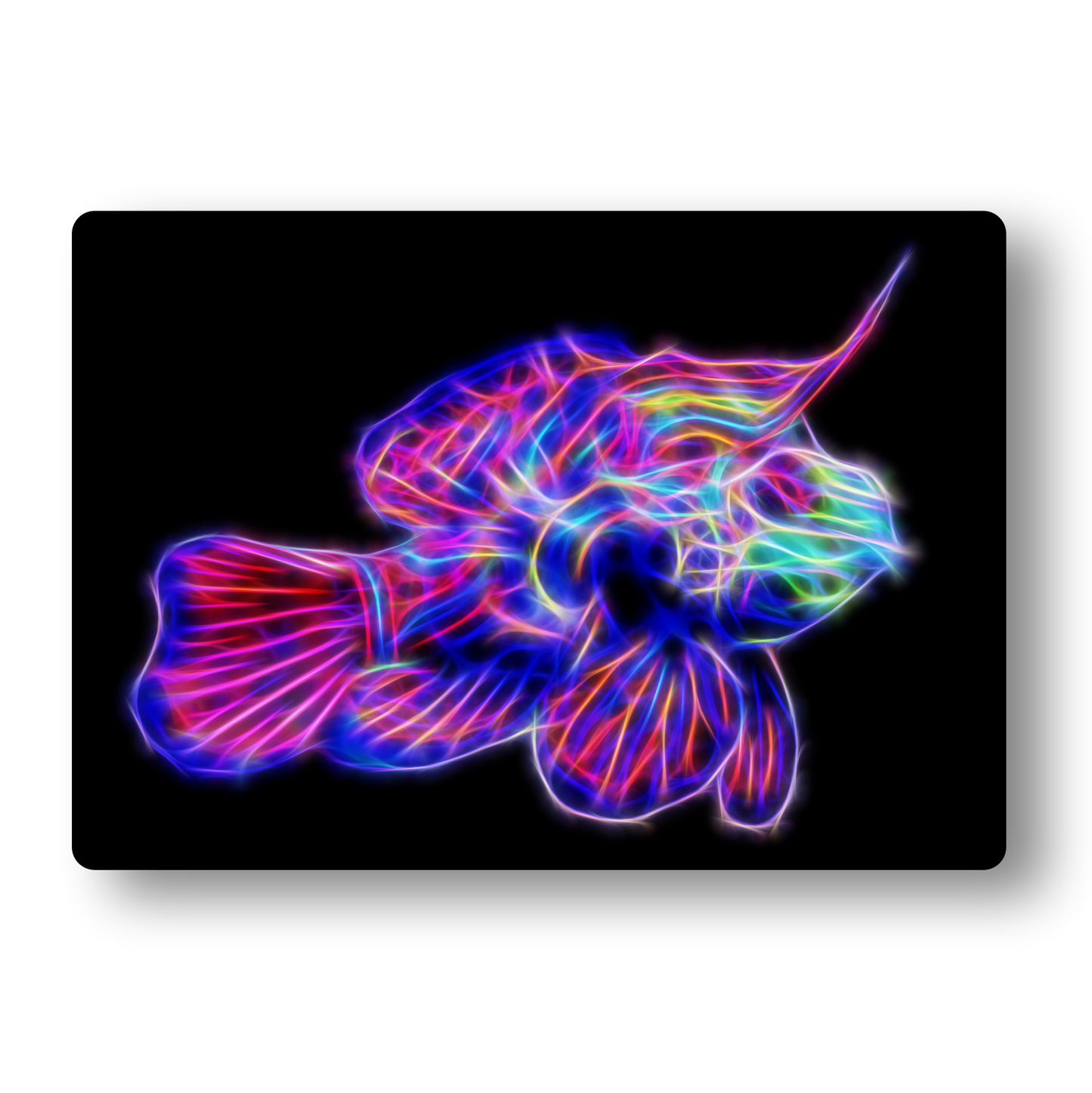 Mandarin Dragonet Fractal Art Metal Wall Plaque
