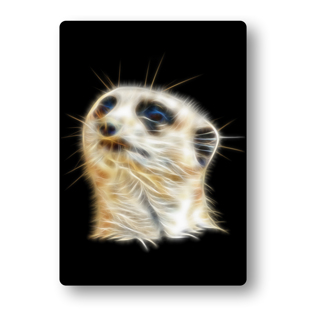 Meerkat Fractal Art Metal Wall Plaque