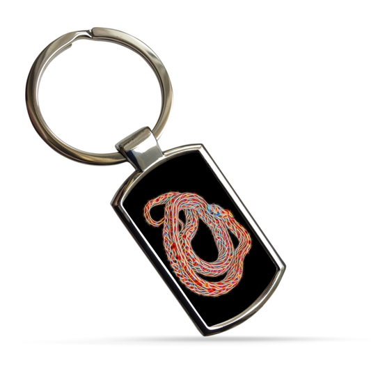 Reptile Metal Rectangle Keyrings