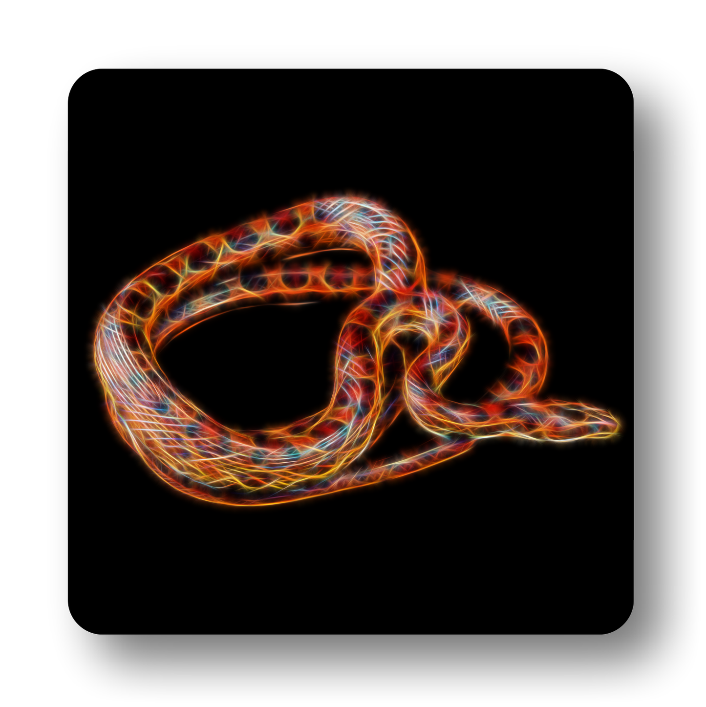 Reptile Coaster