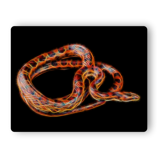 Reptile Print with Stunning Fractal Art Design. Various Sizes and Designs Available. Chamaeleon Gecko Snake Tortoise