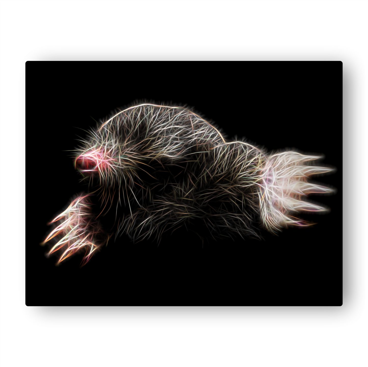 Mole Metal Wall Plaque with Fractal Art Design