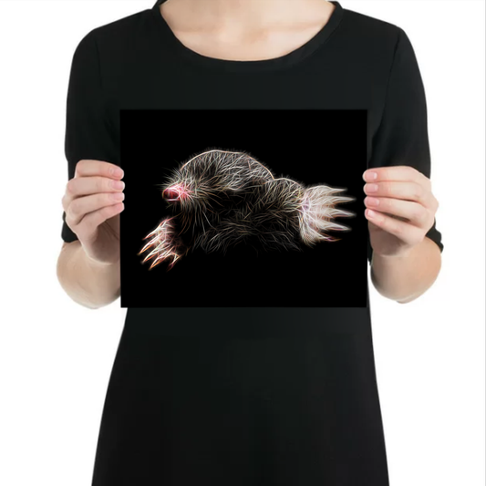 Mole Metal Wall Plaque with Fractal Art Design