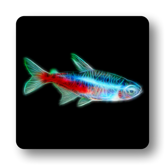 Freshwater Aquarium Fish Coasters - Various Designs