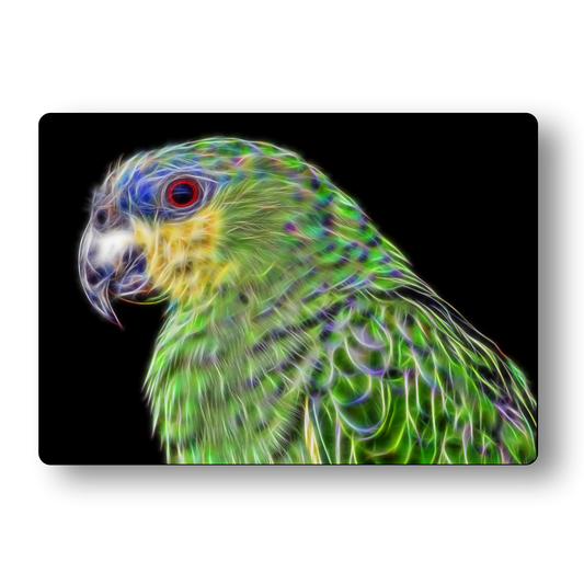 Orange Winged Amazon Parrot Metal Wall Plaque