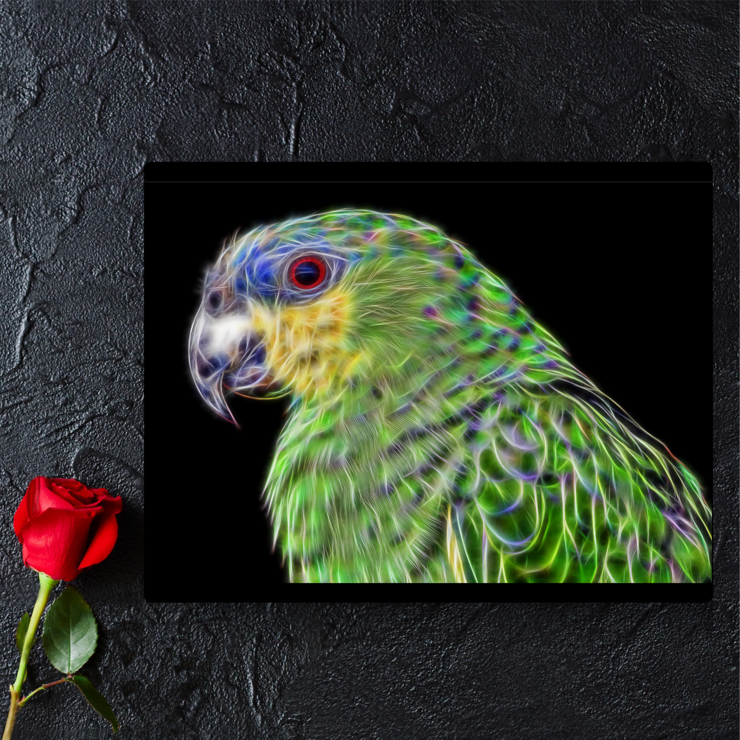 Orange Winged Amazon Parrot Metal Wall Plaque