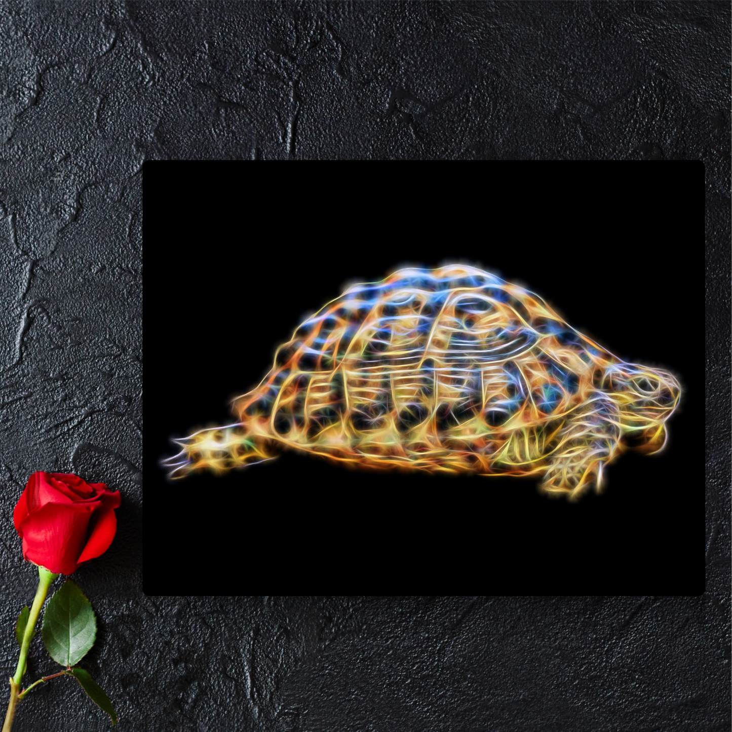 Tortoise Metal Wall Plaque