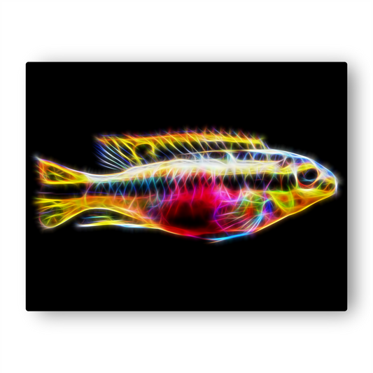 Kribensis Cichlid Metal Wall Plaque Pelvicachromis pulcher
