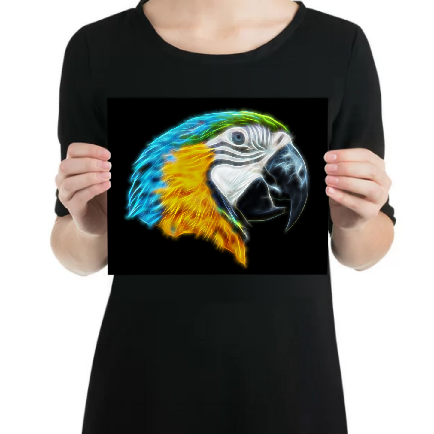 Macaw Parrot Metal Wall Plaque