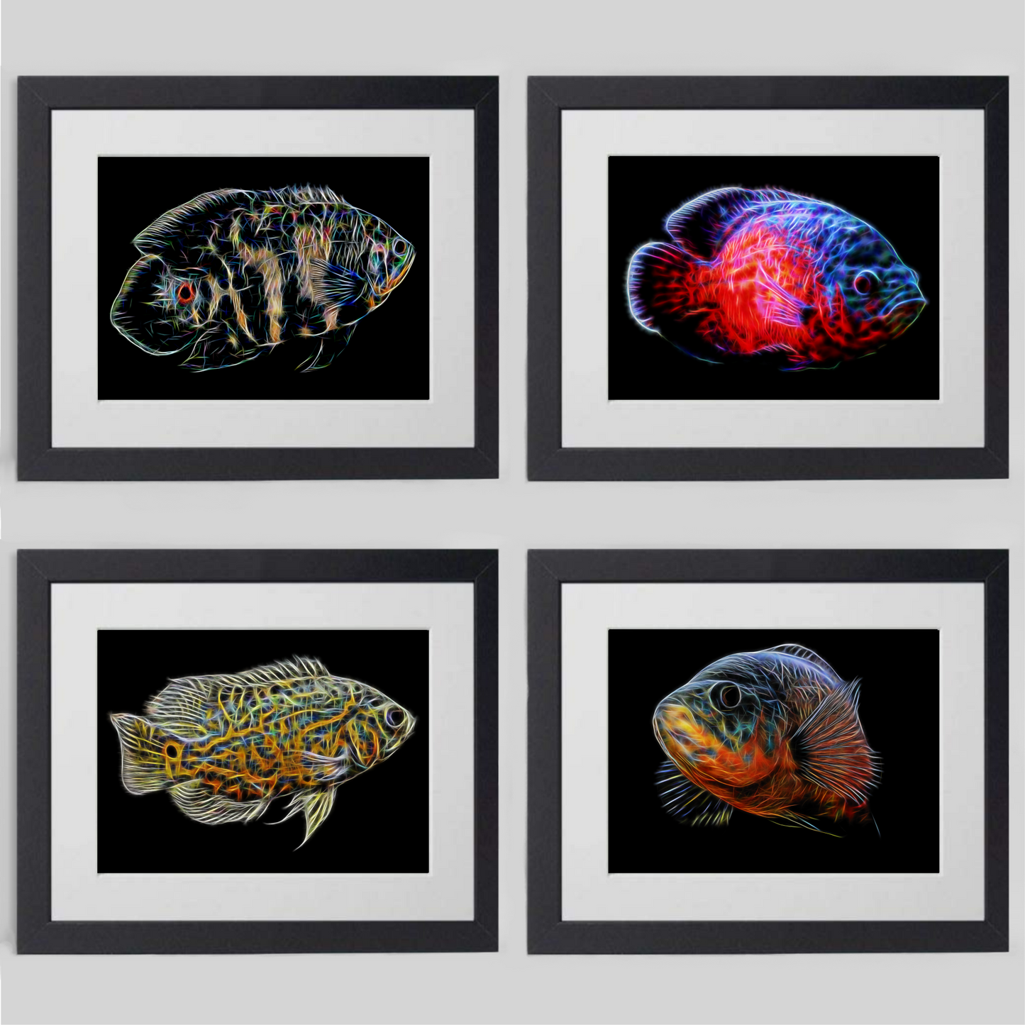 Oscar Cichlid Prints with Stunning Fractal Art Designs.