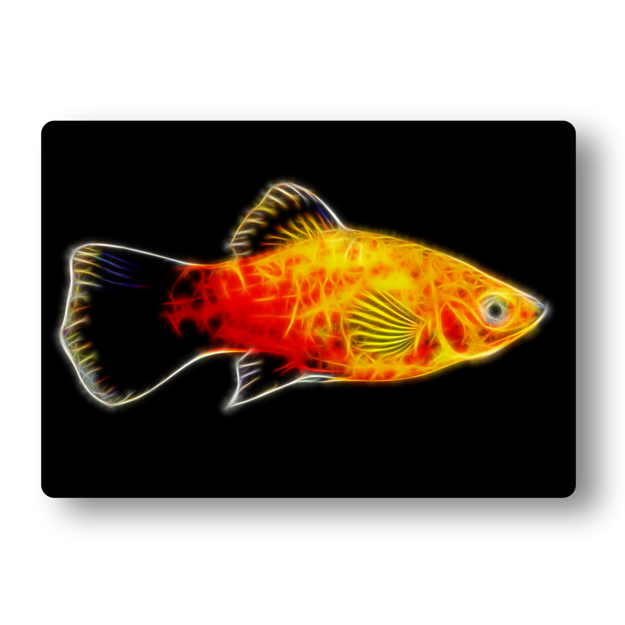 Platy (Sunburst) Fractal Art Metal Wall Plaque