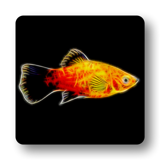 Freshwater Aquarium Fish Coasters - Various Designs