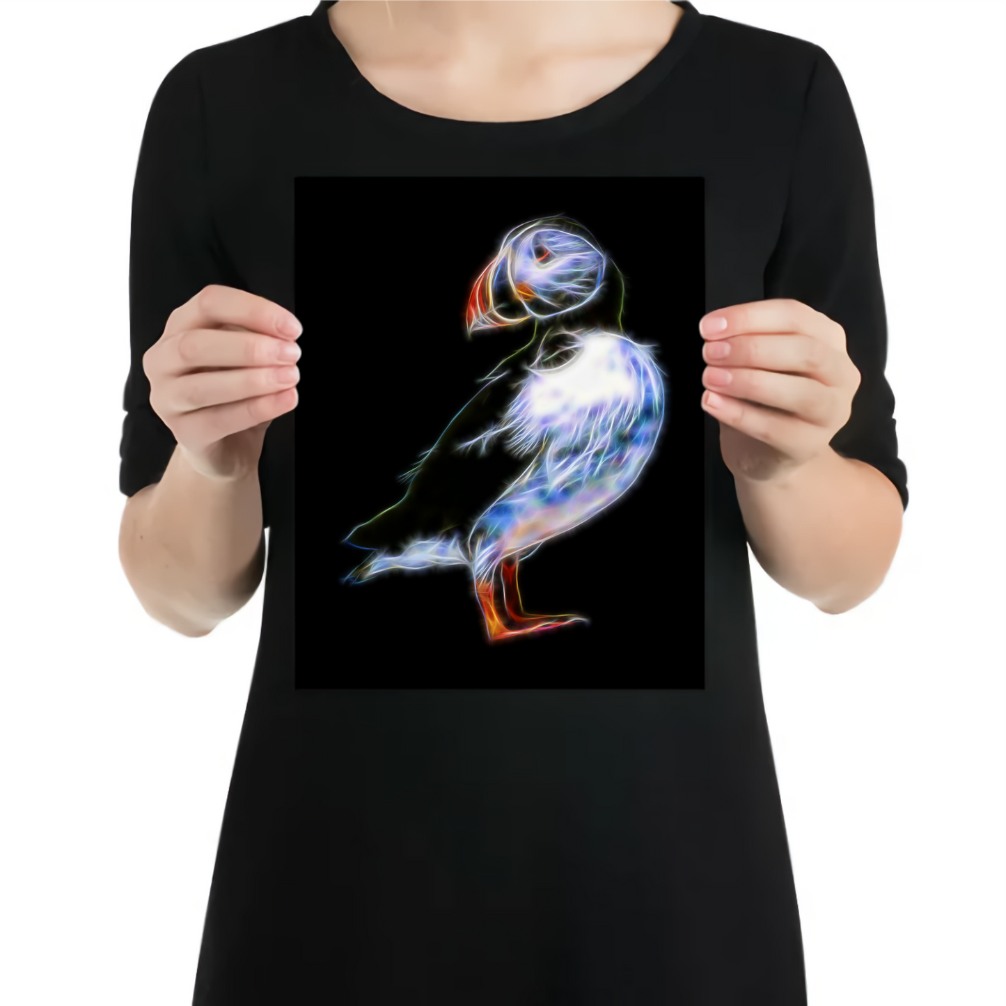 Puffin Aluminium Metal Wall Plaque