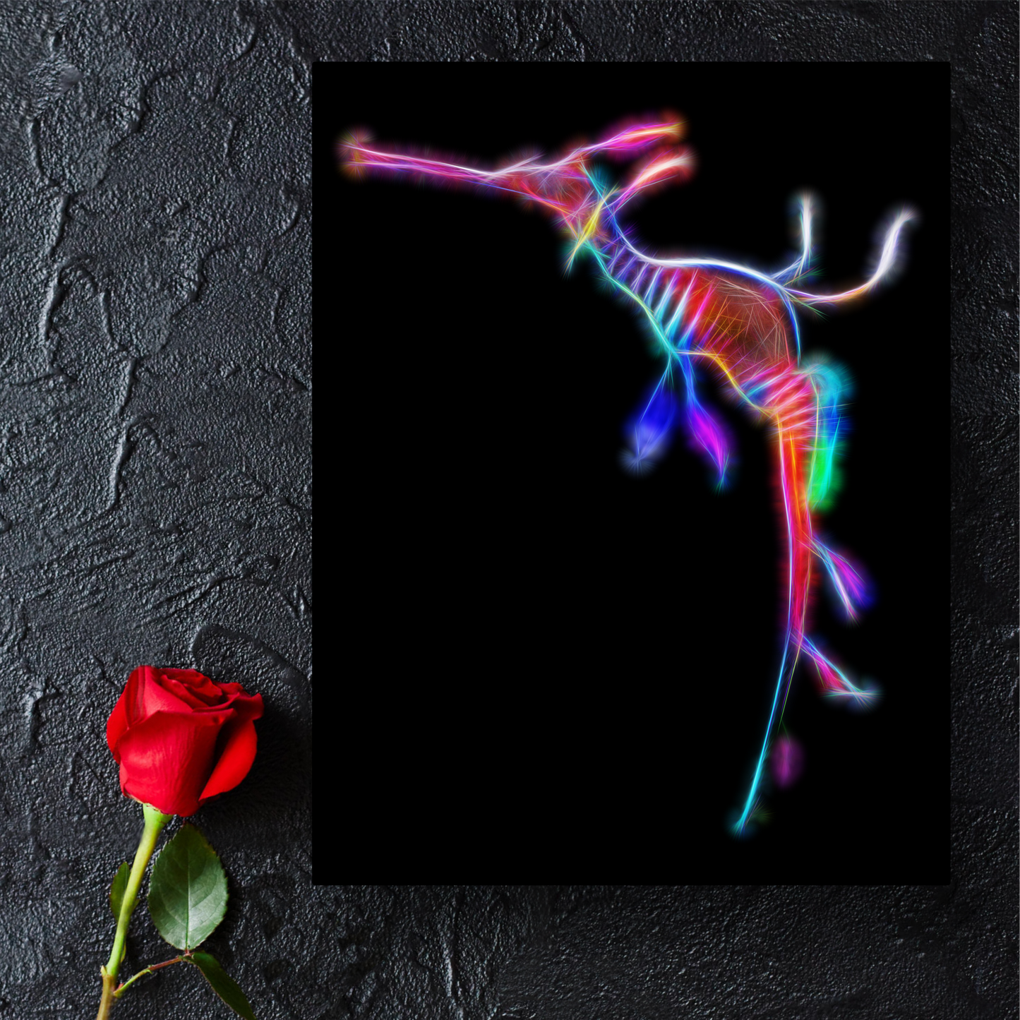 Weedy Seadragon Metal Wall Plaque