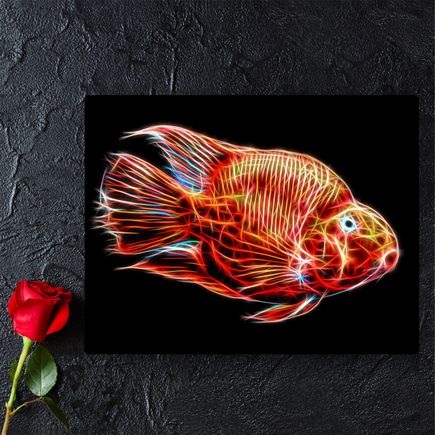 Red Blood Parrot Cichlid Print