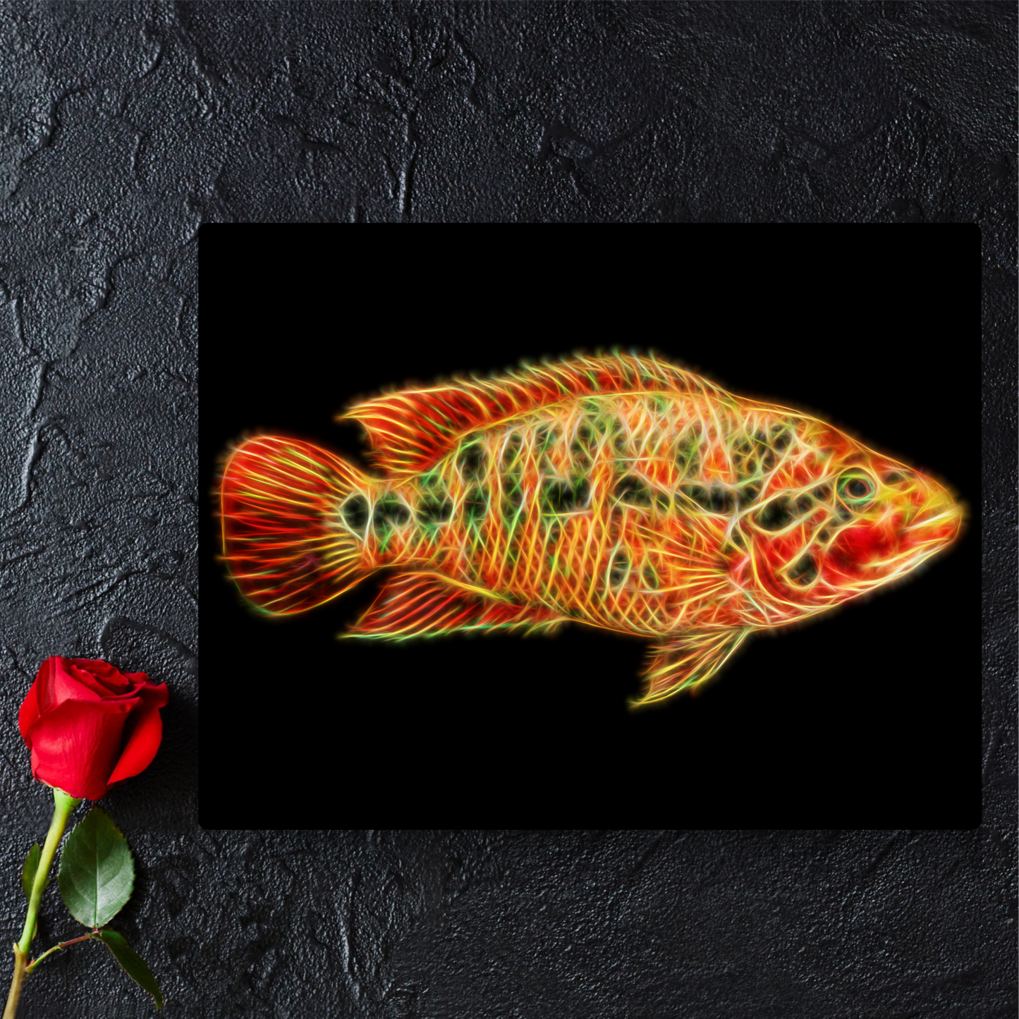 Red Tiger Motaguense Cichlid Print Parachromis motaguensis