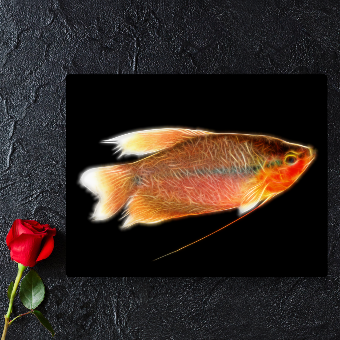 Pearl Gourami Fish Aluminium Metal Wall Plaque