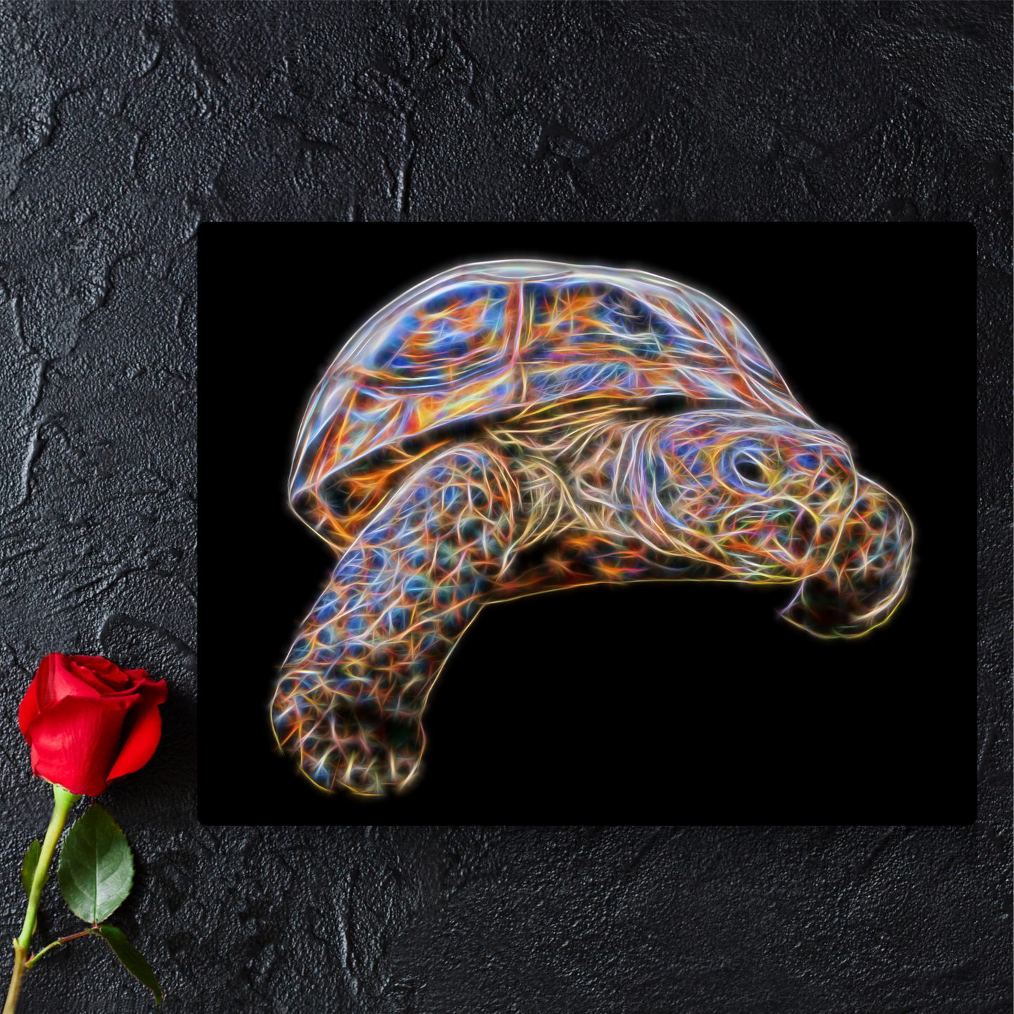 Tortoise Metal Wall Plaque