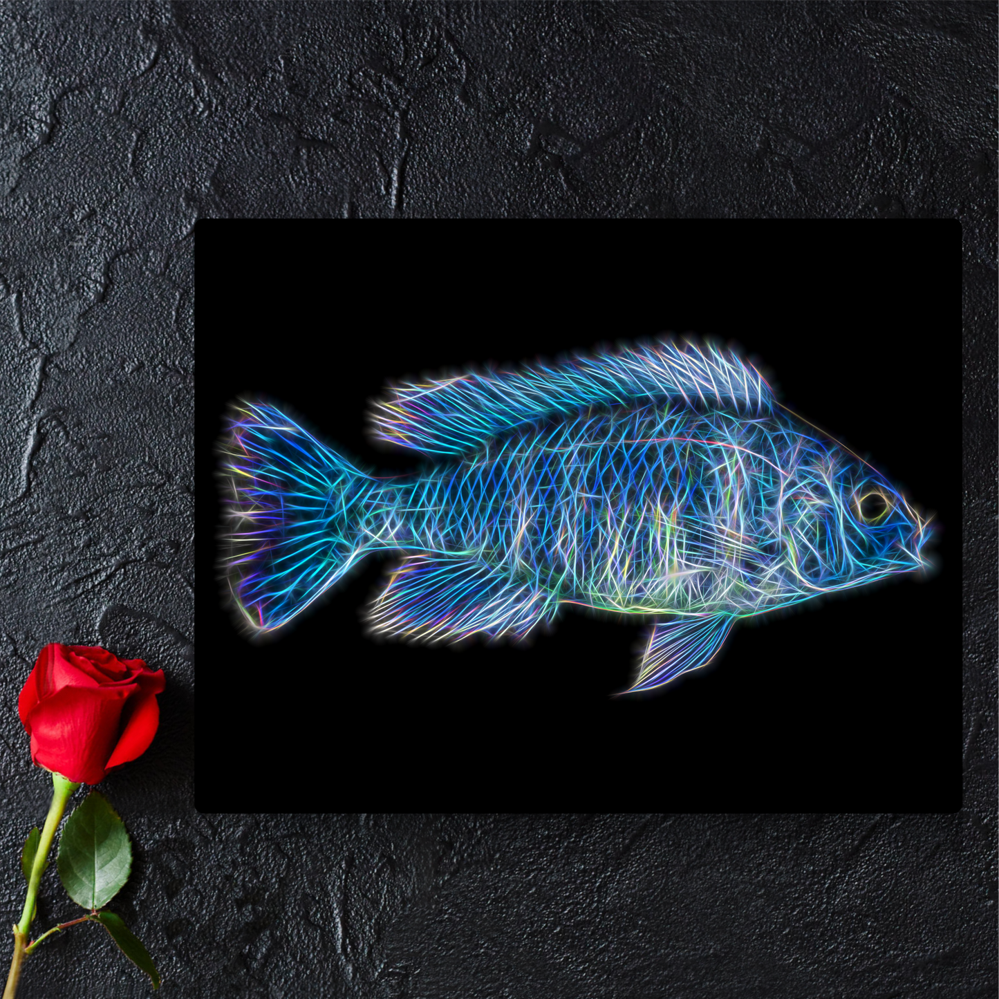 Star Sapphire Hap Cichlid Metal Wall Plaque Phenochilus Tanzania