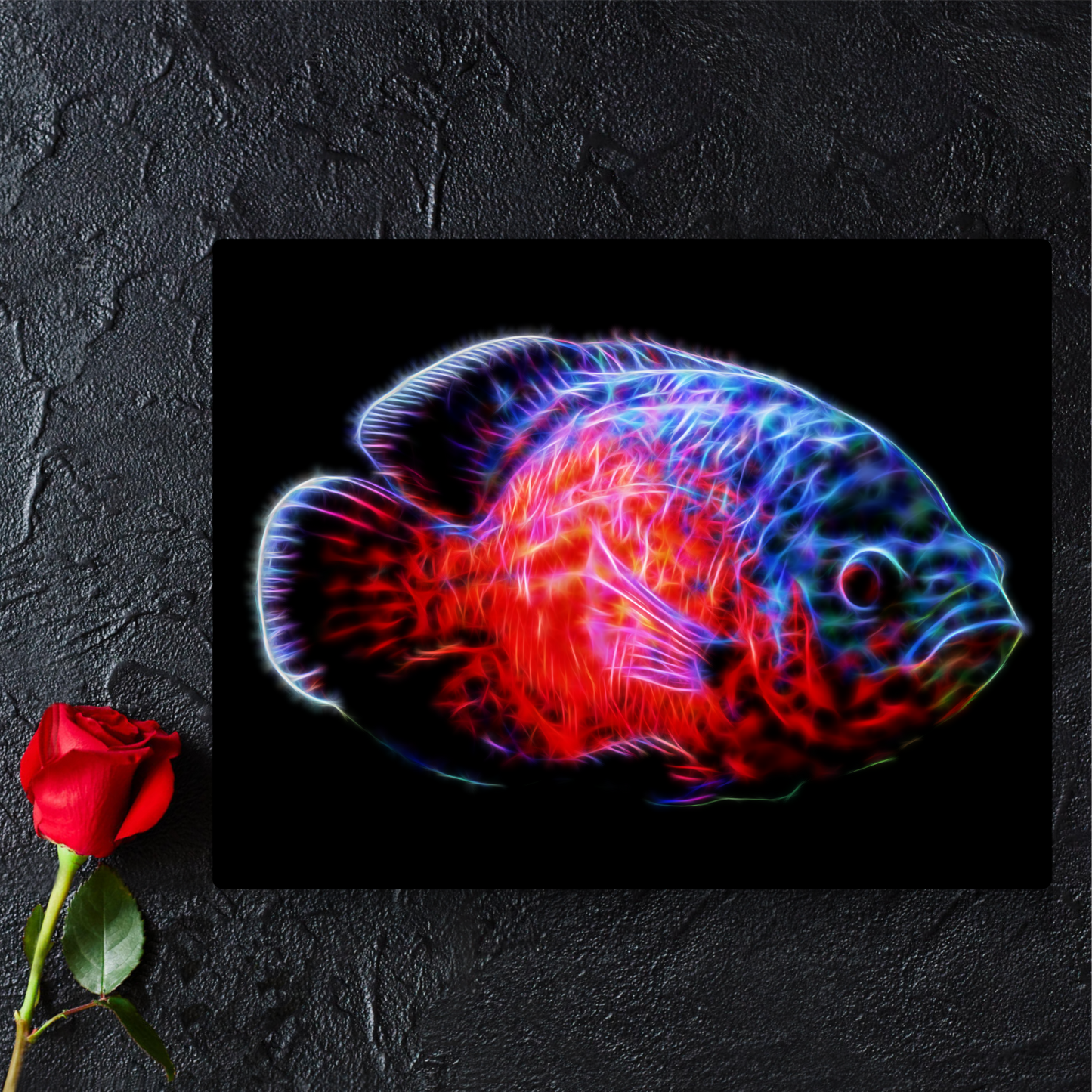 Red Oscar Cichlid Metal Wall Plaque Astronotus ocellatus