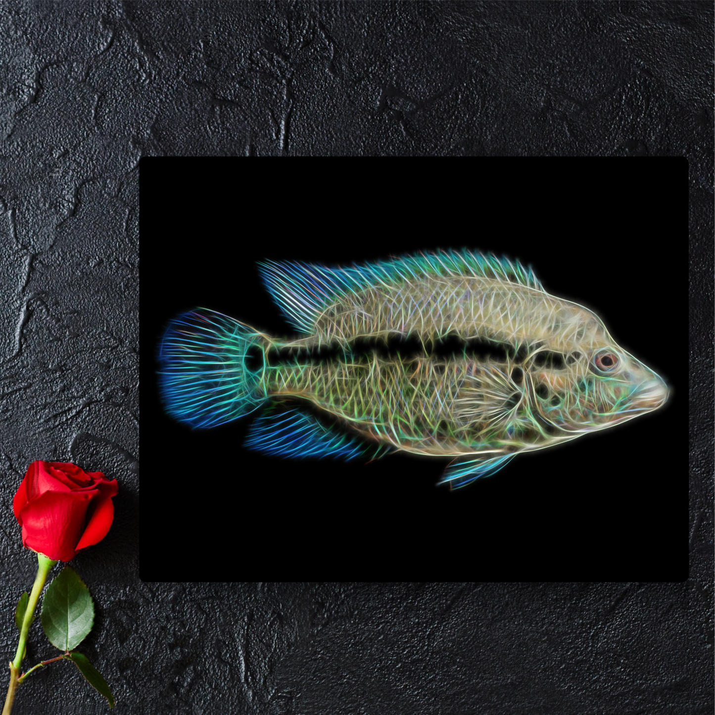 Parachromis Dovii Wolf Cichlid Aluminium Metal Wall Plaque