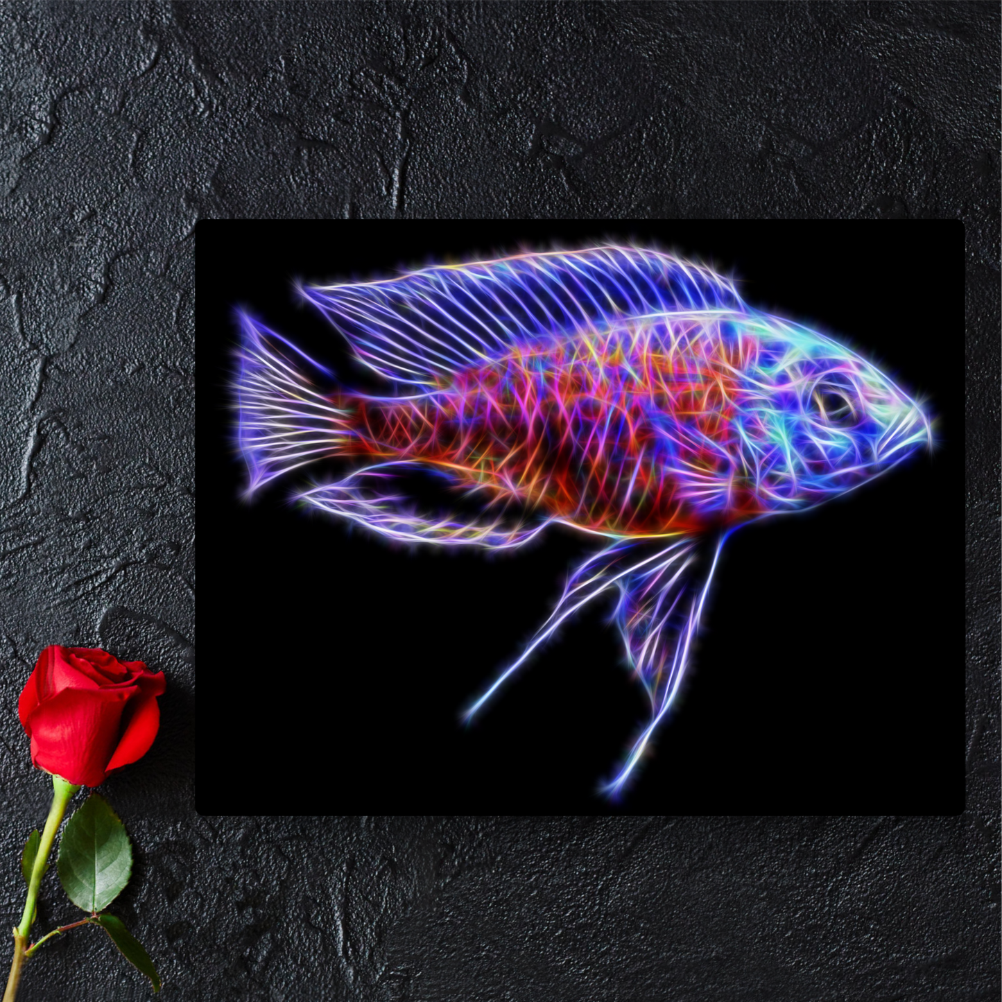 Red Fin Kandago Cichlid Print Copadichromis borleyi