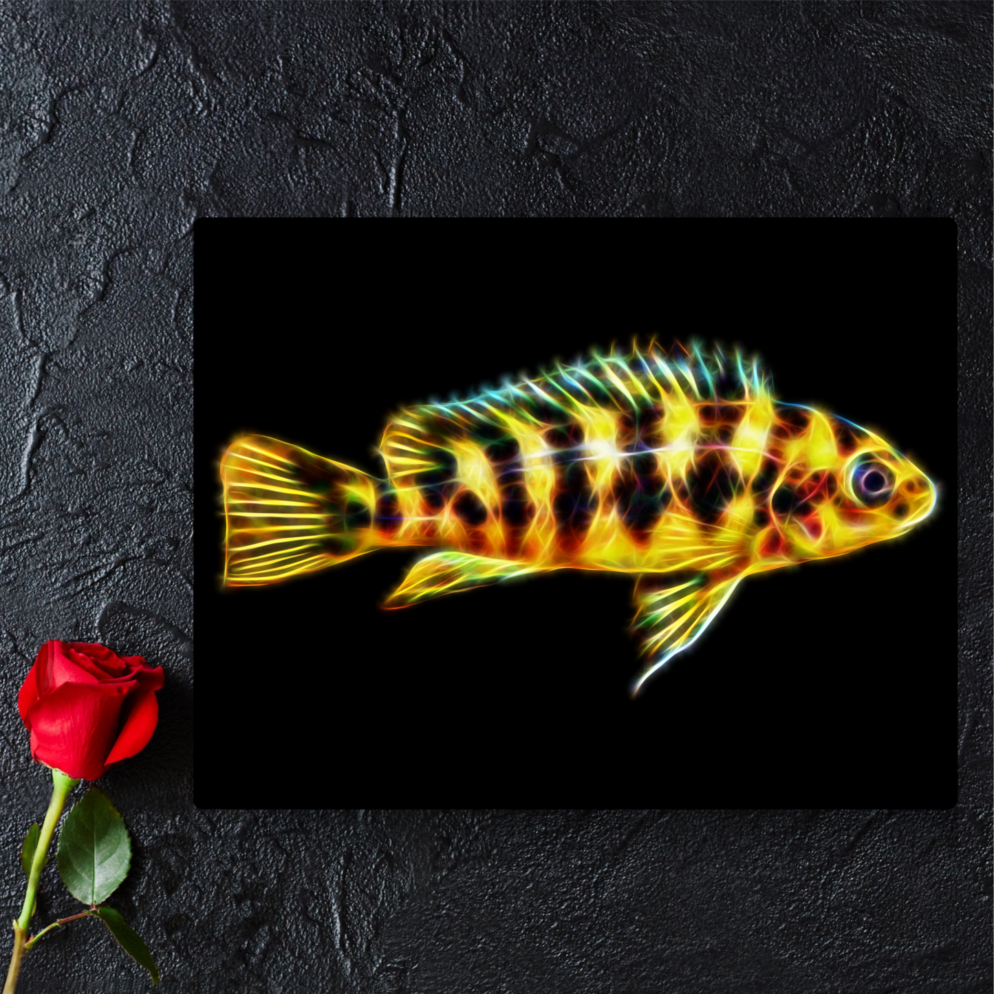 Bumblebee Cichlid Metal Wall Plaque