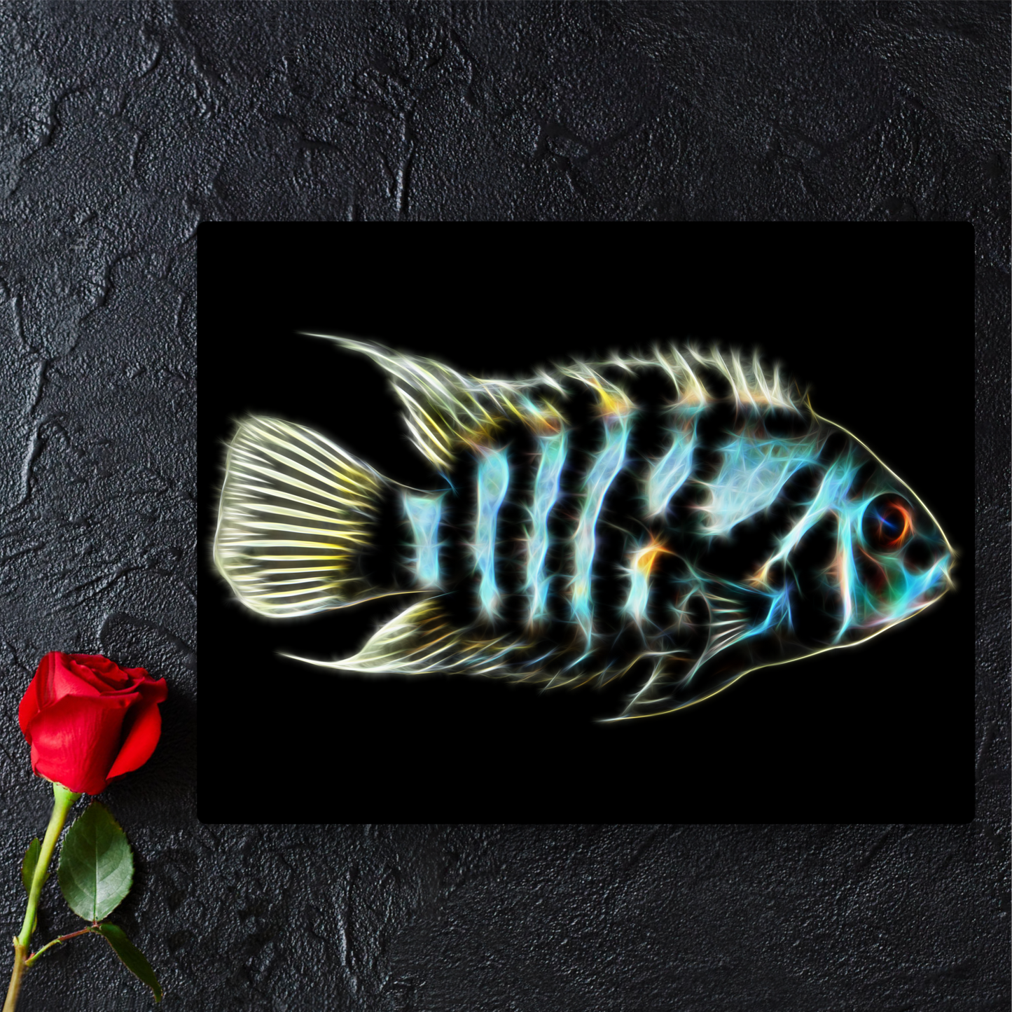 Convict Cichlid Metal Wall Plaque Amatitlania nigrofasciata