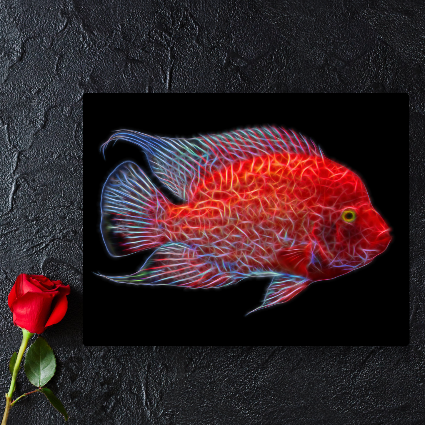 Red Texas Cichlid Print