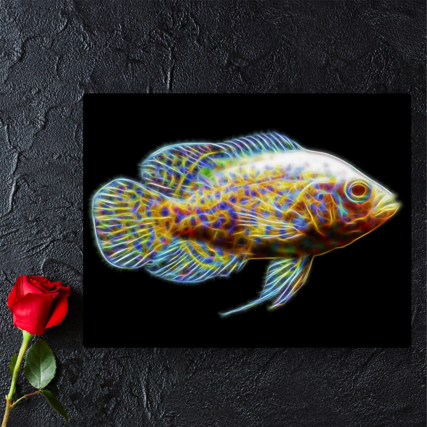 Lemon Albino Tiger Oscar Cichlid Metal Wall Plaque Astronotus ocellatus