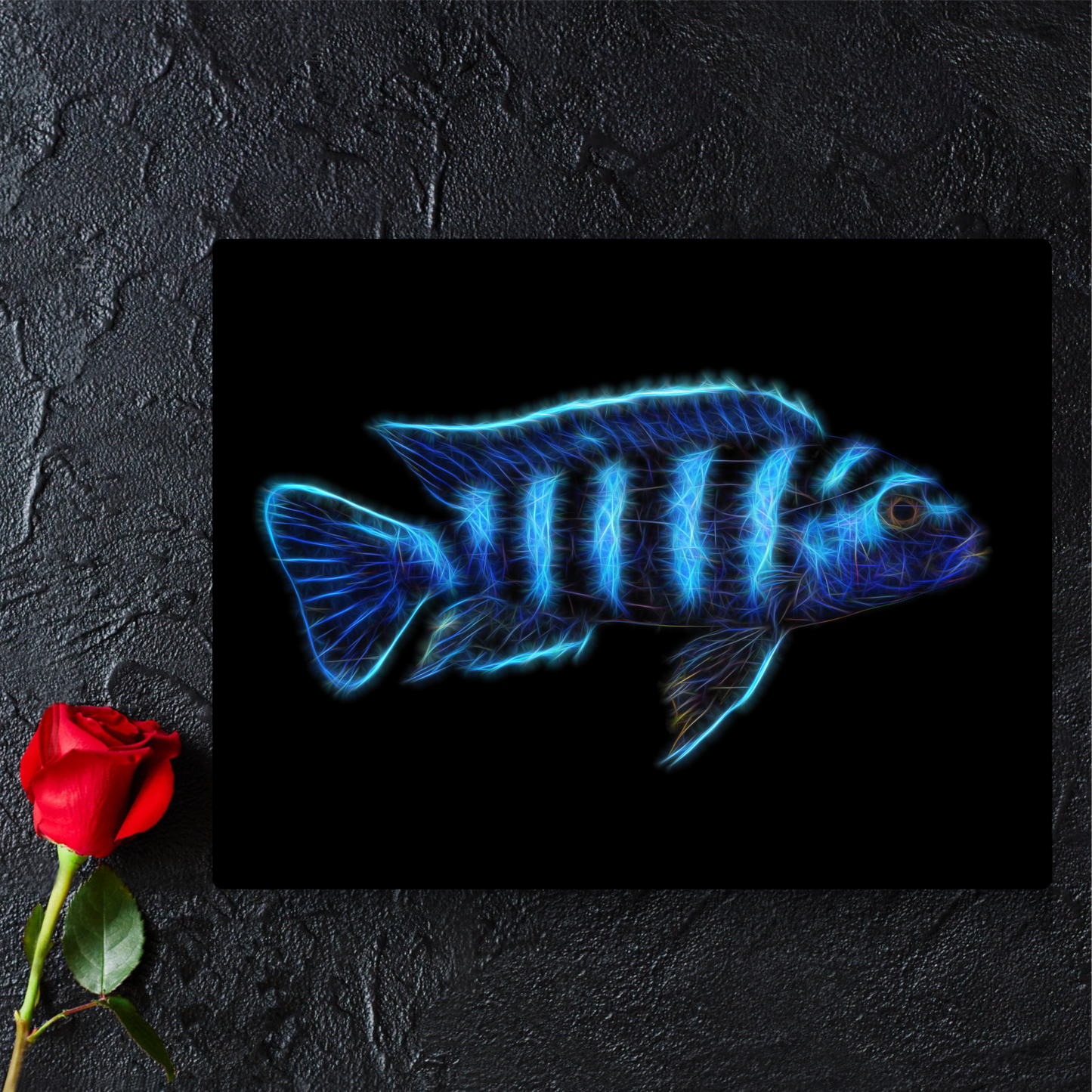 Demasoni Cichlid Metal Wall Plaque Pseudotropheus demasoni