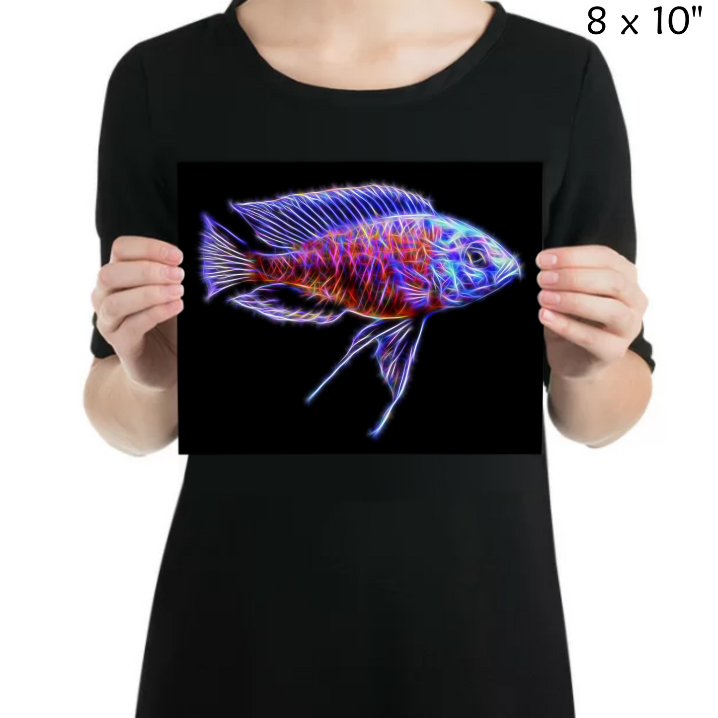 Red Fin Kandago Cichlid Print Copadichromis borleyi