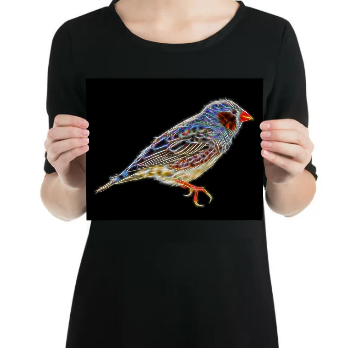 Zebra Finch Metal Wall Plaque