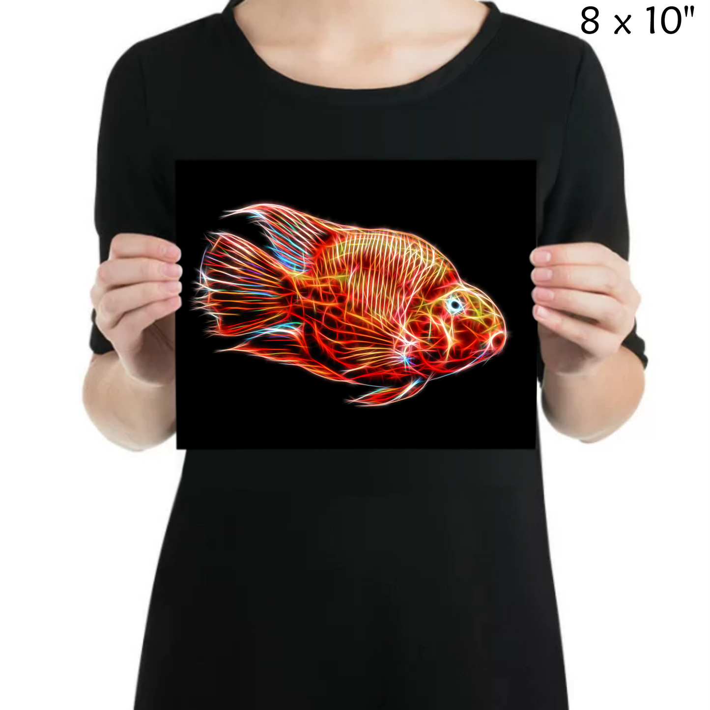 Red Blood Parrot Cichlid Aluminium Metal Wall Plaque