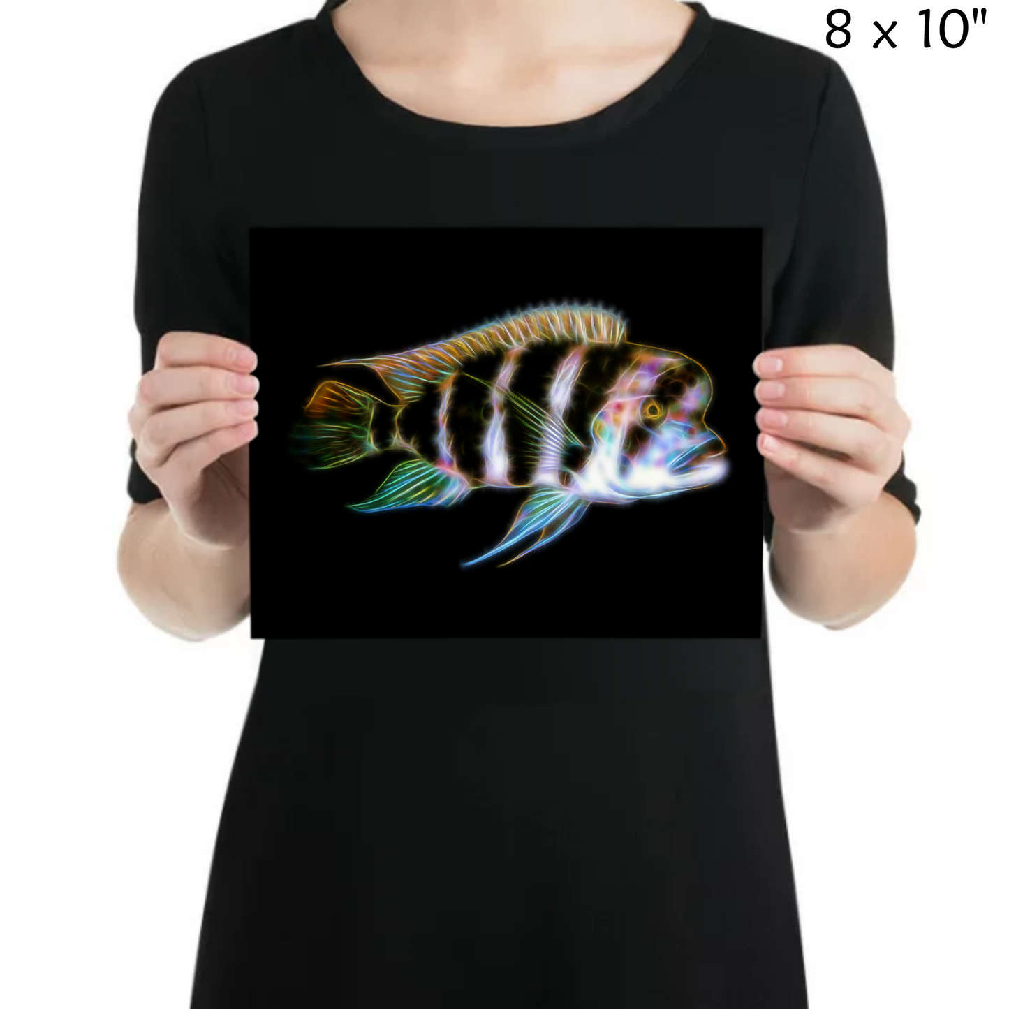 Frontosa Cichlid Metal Wall Plaque Cyphotilapia frontosa