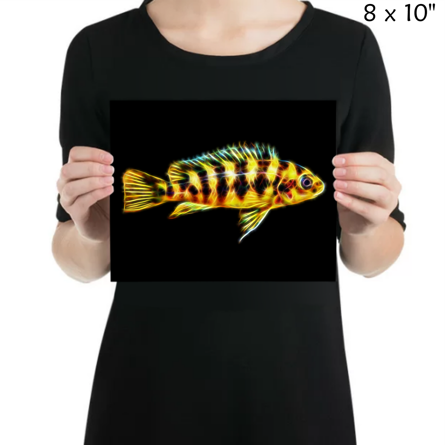 Bumblebee Cichlid Metal Wall Plaque